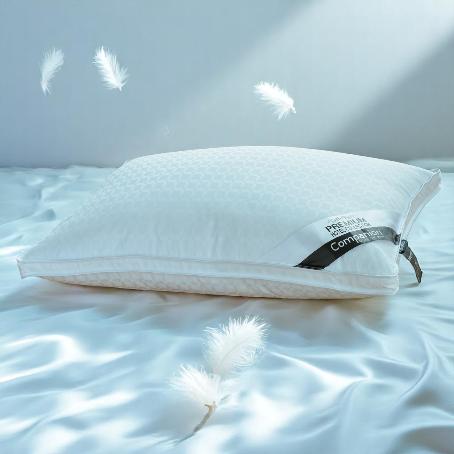 Companion Down Pillow - Image 2