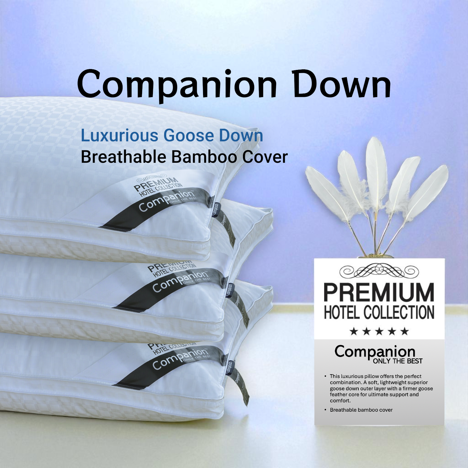 companion-down-final