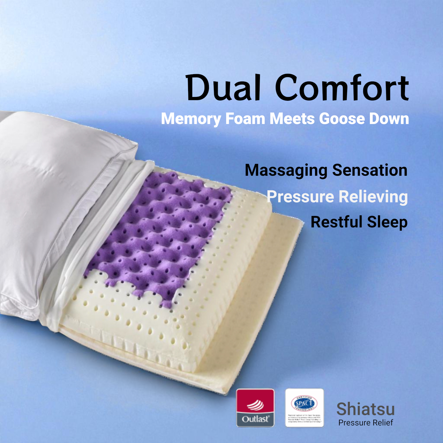 shiatsu-dual2